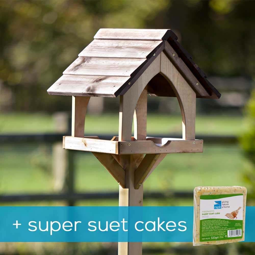 Gothic bird table & super suet cakes offer product photo