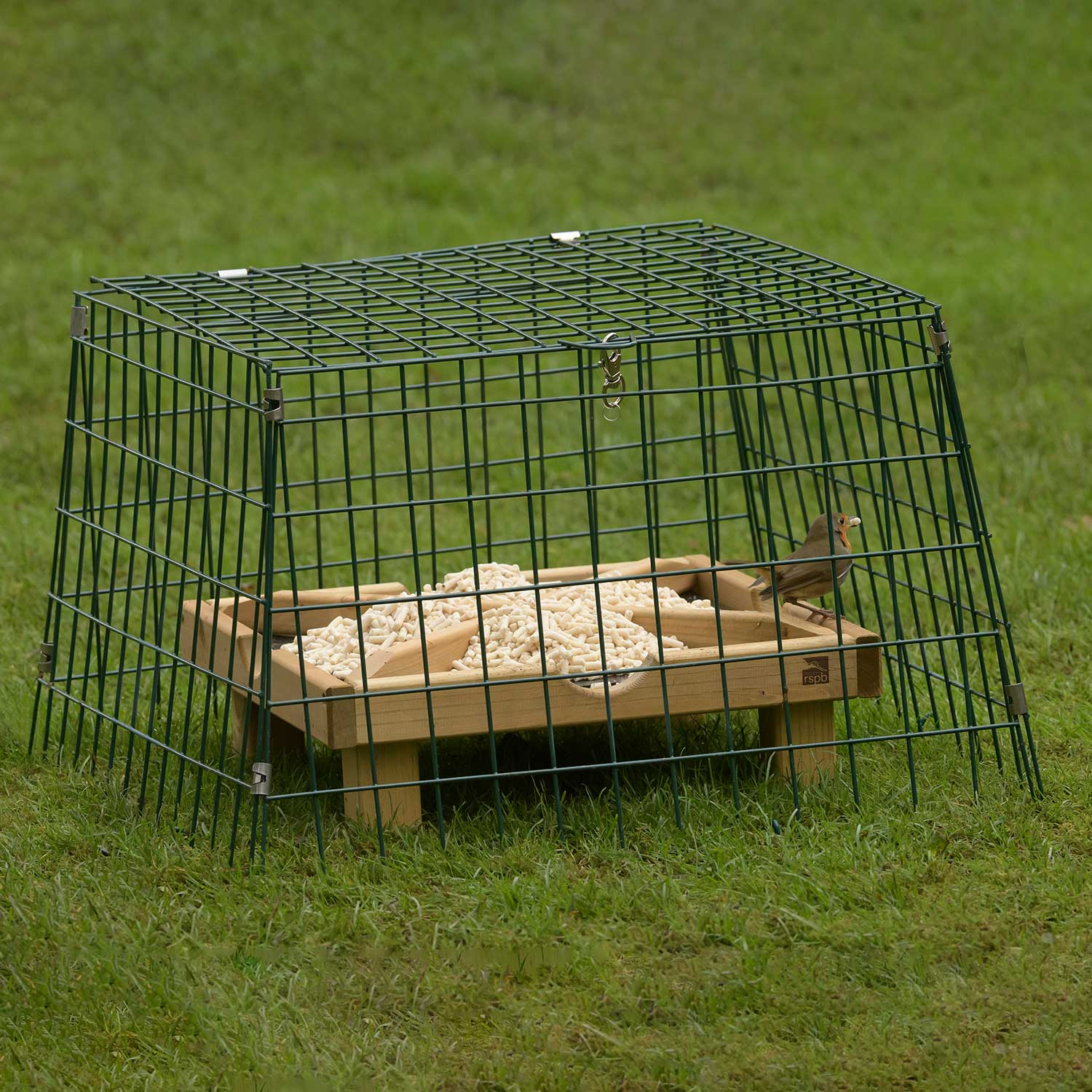 Ground Bird Feeders 