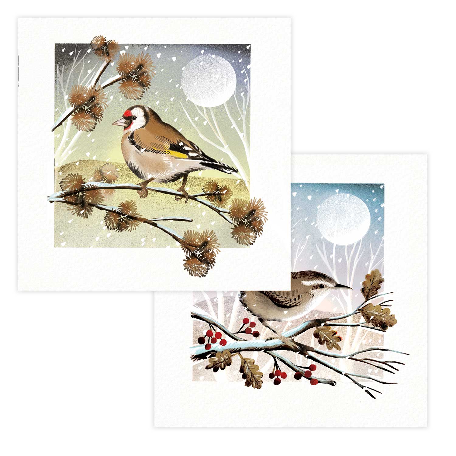 A winter flurry duo RSPB charity Christmas cards - 10 pack, 2 designs product photo