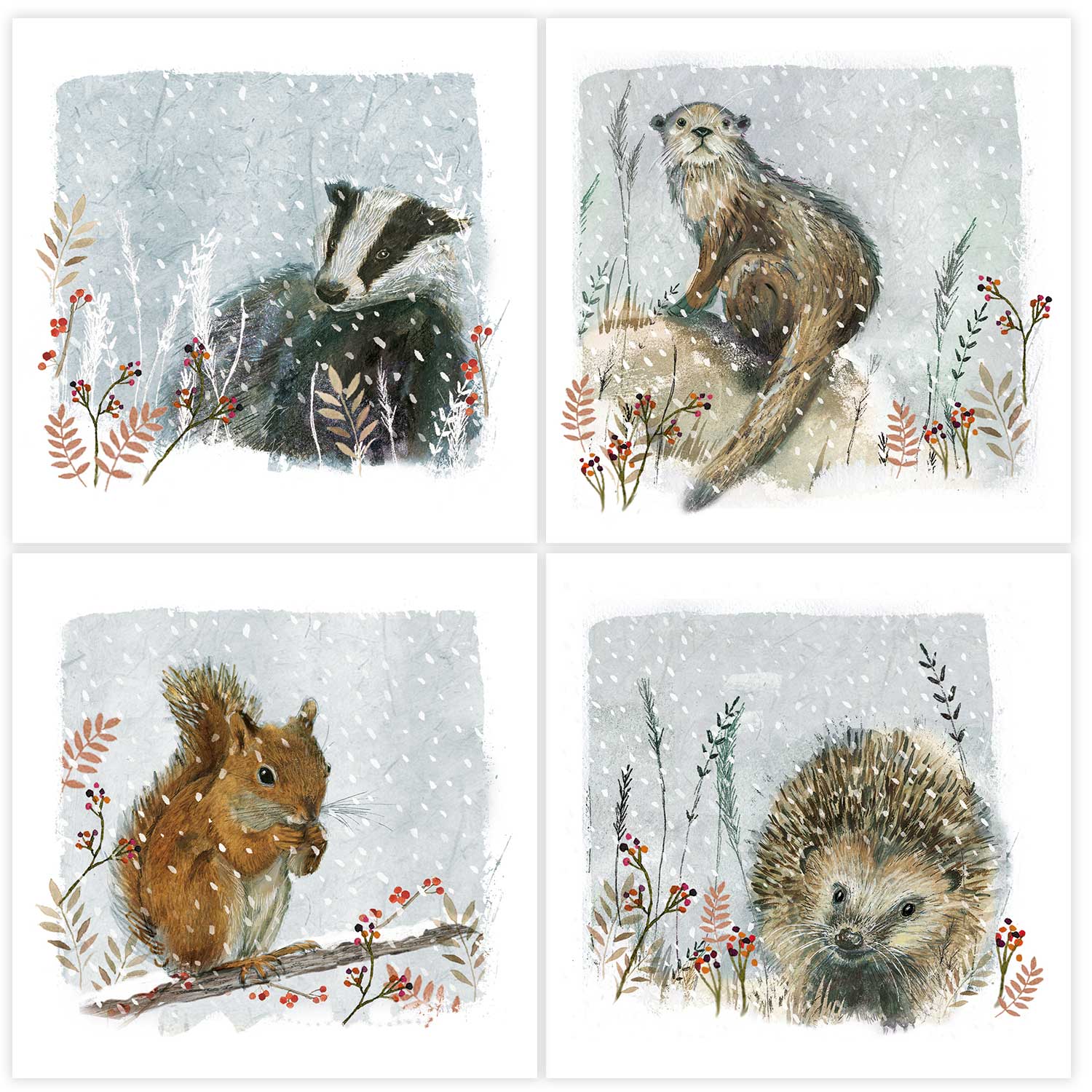 Wondrous wildlife RSPB charity Christmas cards - 20 pack product photo