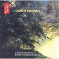 Dawn Chorus CD product photo