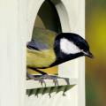Royal Bempton hanging bird table product photo Front View - additional image 1 T