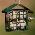 Dual suet feeder for fat balls & cakes product photo Front View - additional image 1 T