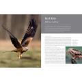 RSPB British Birds of Prey product photo Front View - additional image 1 T