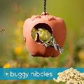 Apple bird feeder & buggy nibbles product photo