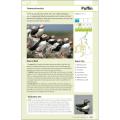 RSPB British Birdfinder product photo Front View - additional image 1 T