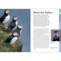 RSPB Spotlight Puffins product photo Front View - additional image 1 T