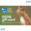 RSPB Gift card £40, squirrel product photo