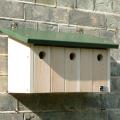 RSPB Sparrow terrace nest box product photo Front View - additional image 1 T