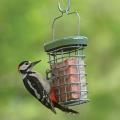 RSPB Ultimate suet feeder product photo Side View -  - additional image 3 T