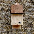RSPB Single chamber bat box & seeds product photo Front View - additional image 1 T