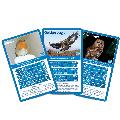 RSPB British Birds Top Trumps product photo Front View - additional image 1 T