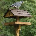 Adjus-table bird table product photo Side View -  - additional image 3 T