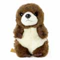 Baby otter plush soft toy in box 18cm product photo