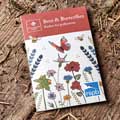 Bees and butterflies wildflower seed pack product photo Side View -  - additional image 3 T