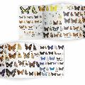 Butterflies identifier chart - RSPB ID Spotlight series product photo Side View -  - additional image 3 T