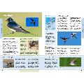 RSPB The everyday guide to British birds product photo Back View -  - additional image 2 T