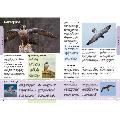 RSPB The everyday guide to British birds product photo Side View -  - additional image 3 T