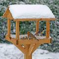 Gallery bird table product photo additional image 5 T