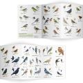 Garden birds identifier chart - RSPB ID Spotlight series product photo Side View -  - additional image 3 T
