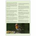 Garden birds identifier chart - RSPB ID Spotlight series product photo Back View -  - additional image 2 T