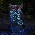 Owl solar light, large product photo Front View - additional image 1 T