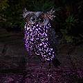 Owl solar light, large product photo additional image 5 T
