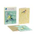 In the wild great tit & bullfinch bird notecards pack product photo Side View -  - additional image 3 T
