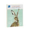 RSPB In the wild hare notecards pack product photo