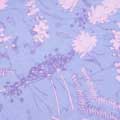 Lilac dried leaf RSPB organic cotton scarf product photo Side View -  - additional image 3 T