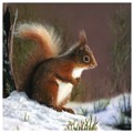 Little red RSPB charity Christmas cards - 10 pack product photo
