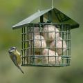 Dual suet feeder for fat balls & cakes product photo