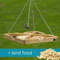 RSPB Hanging table & bird food offer product photo