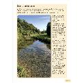 RSPB Guide to Birdsong by Adrian Thomas product photo Back View -  - additional image 2 T