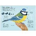 RSPB Nature Guide: Birds product photo Side View -  - additional image 3 T