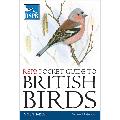 RSPB Pocket Guide to British Birds, 2nd Edition product photo