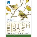 RSPB Pocket guide to British birds product photo
