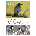 RSPB Spotlight crows product photo