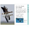 RSPB Spotlight Ducks and Geese product photo Back View -  - additional image 2 T