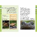 RSPB Spotlight Frogs and Toads product photo Side View -  - additional image 3 T