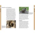 RSPB Spotlight Sparrows product photo additional image 4 T