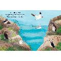 Seaside activity and sticker book by RSPB product photo Side View -  - additional image 3 T