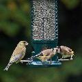 Squirrel Buster seed feeder product photo additional image 4 T