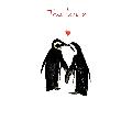 True love penguins Valentine's Day card product photo
