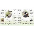 What’s that garden bird?: Birdspotting Wheel and Guide Book product photo additional image 4 T