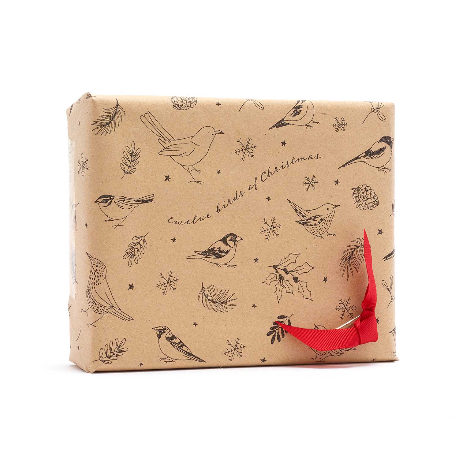 12 Birds of Christmas Recyclable Wrapping Paper | RSPB Shop