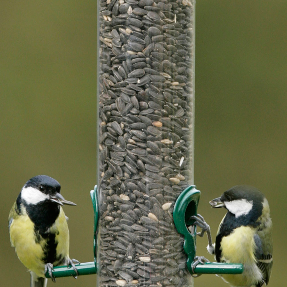 Feeder Seed Mix 750g Sack RSPB Shop