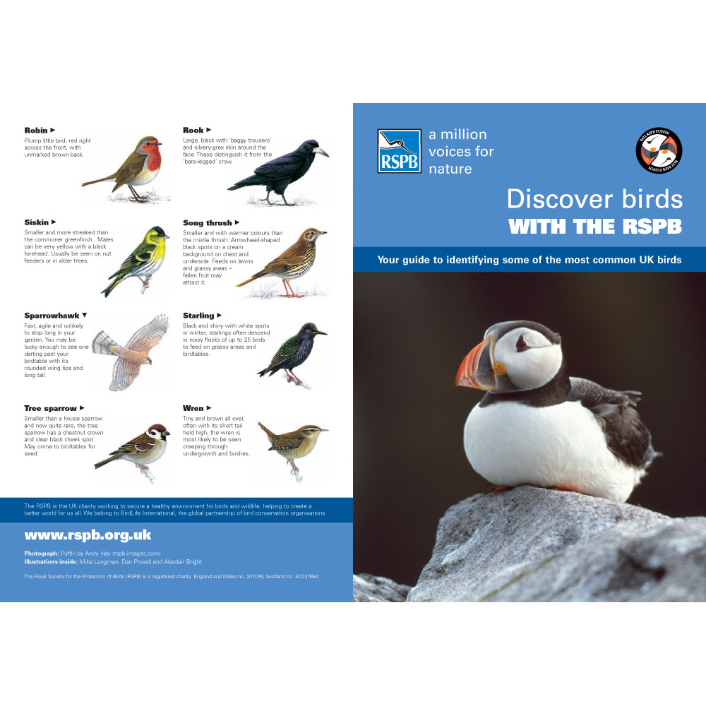 RSPB Puffin Binoculars 8 x 32 Binoculars RSPB Shop