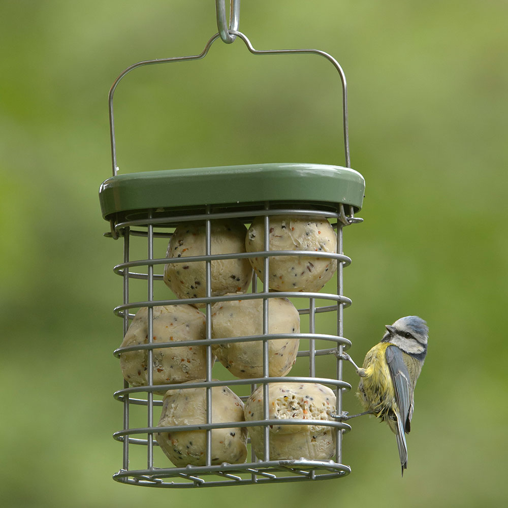RSPB Ultimate Suet Feeders RSPB Shop