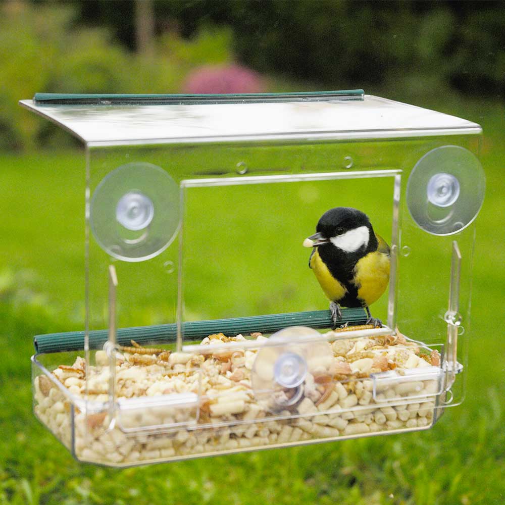 Window Bird Feeder - RSPB Shop